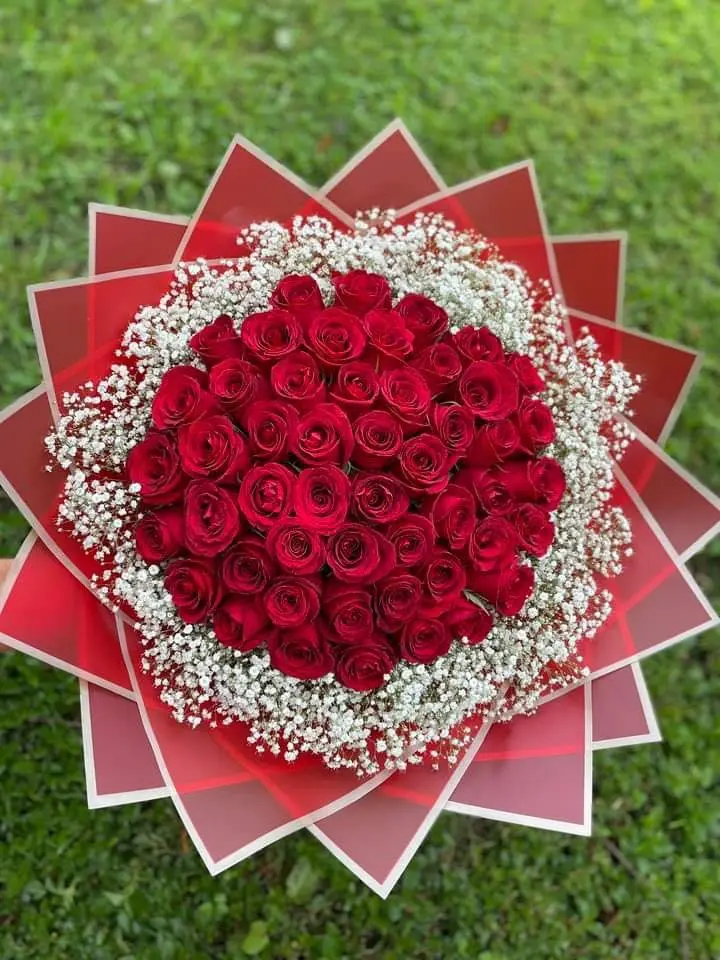 Ramos de rosas frescas – Florería Tulipán Puerto Vallarta